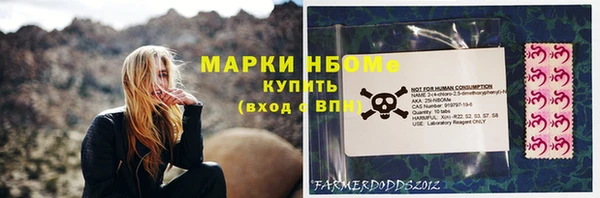 индика Армянск