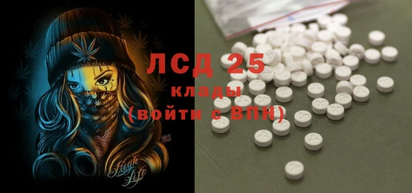 индика Армянск