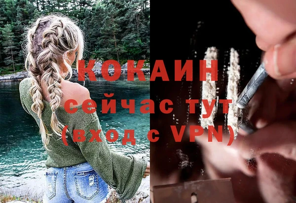 индика Армянск