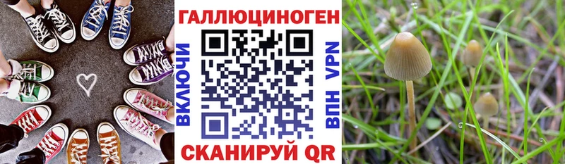 Псилоцибиновые грибы Magic Shrooms  купить наркоту  Баймак 